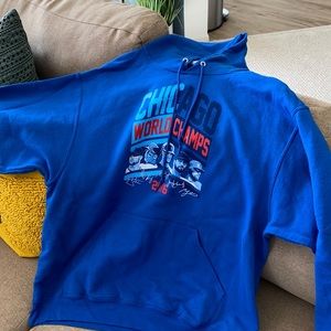 Cubs world champs hoodie